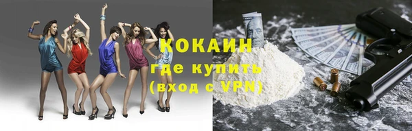 шишки Карталы