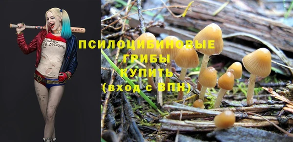 кристаллы Карпинск
