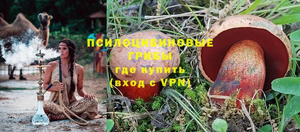 шишки Карталы