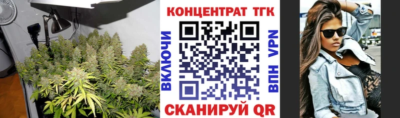 ТГК концентрат  Купить закладки  Гороховец 